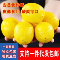 2024四川安岳黃檸檬酸爽健康皮薄多汁奶茶店專用新鮮檸檬爽口